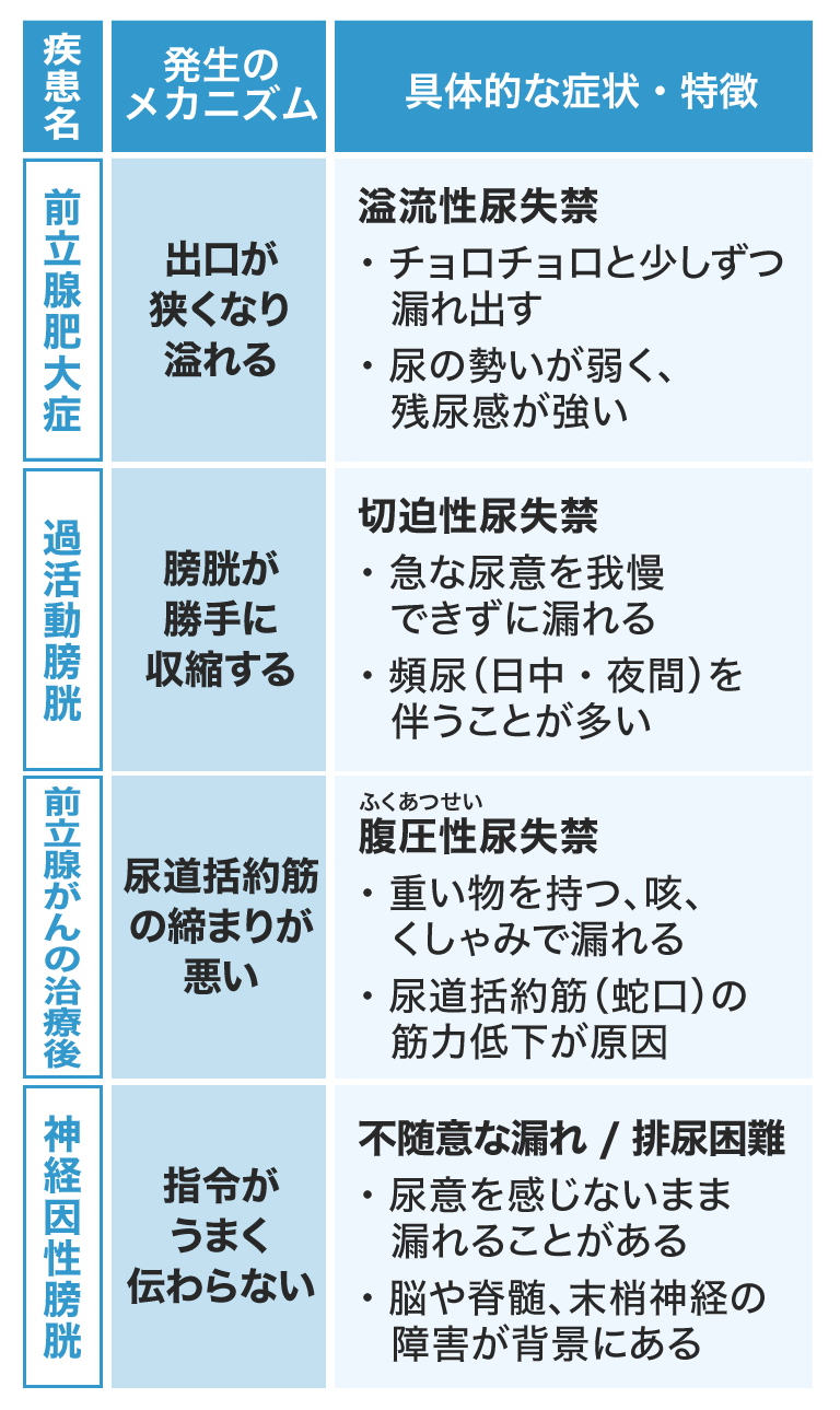 前立腺肥大症、過活動膀胱、前立腺がんの治療後、神経因性膀胱
