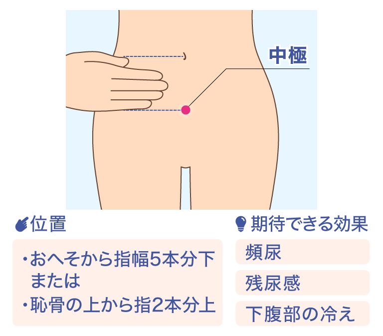 中極 位置 ·おへそから指幅5本分下 または ·恥骨の上から指2本分上 期待できる効果 頻尿 残尿感 下腹部の冷え