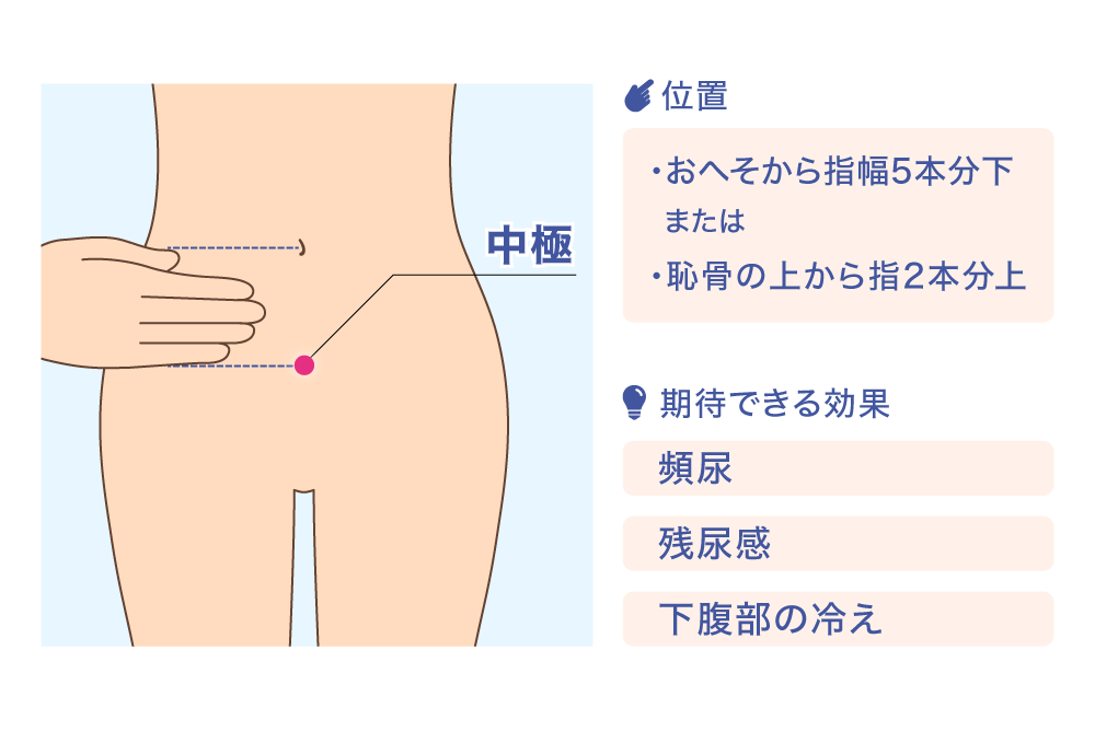 中極 位置 ·おへそから指幅5本分下 または ·恥骨の上から指2本分上 期待できる効果 頻尿 残尿感 下腹部の冷え