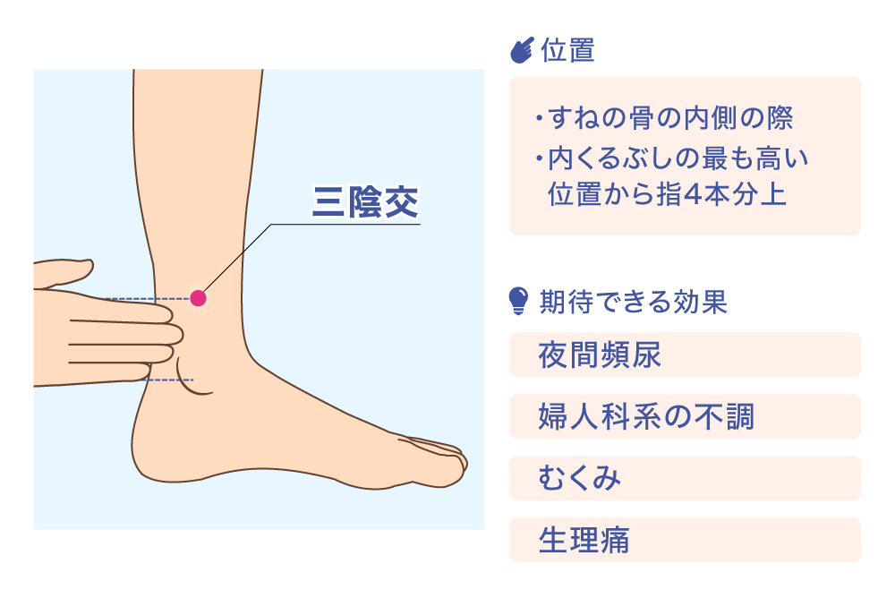 三陰交 位置 ·すねの骨の内側の際 ·内くるぶしの最も高い位置から指4本分上 期待できる効果 夜間頻尿 婦人科系の不調 むくみ 生理痛