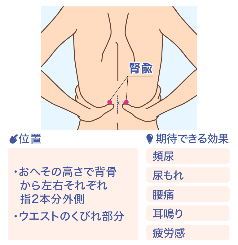 腎兪 位置 ·おへその高さで背骨から左右それぞれ指2本分外側 ·ウエストのくびれ部分 期待できる効果 頻尿 尿もれ 腰痛 耳鳴り 疲労感