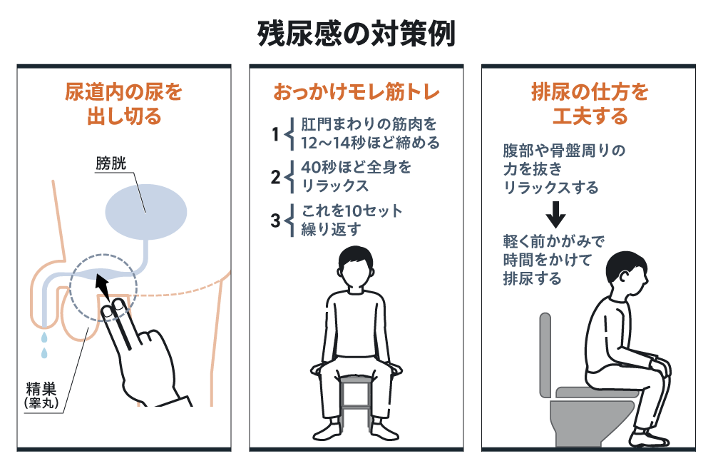 残尿感の対策例 尿道内の尿を出し切る おっかけモレ筋トレ 1;肛門まわりの筋肉を12~14秒ほど締める 2;40秒ほど全身をリラックス 3;これを10セット繰り返す 排尿の仕方を工夫する 腹部や骨盤周りの力を抜きリラックスする &rarr; 軽く前かがみで時間をかけて排尿する