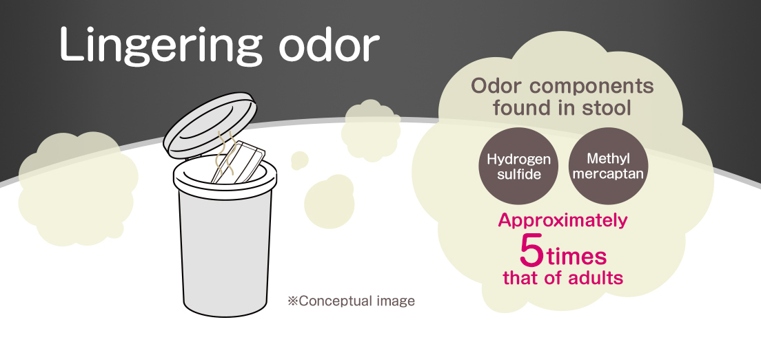 Lingering odor *Conceptual image Odor components found in stool Hydrogen sulfide Methyl mercaptan Approximately 5times that of adults