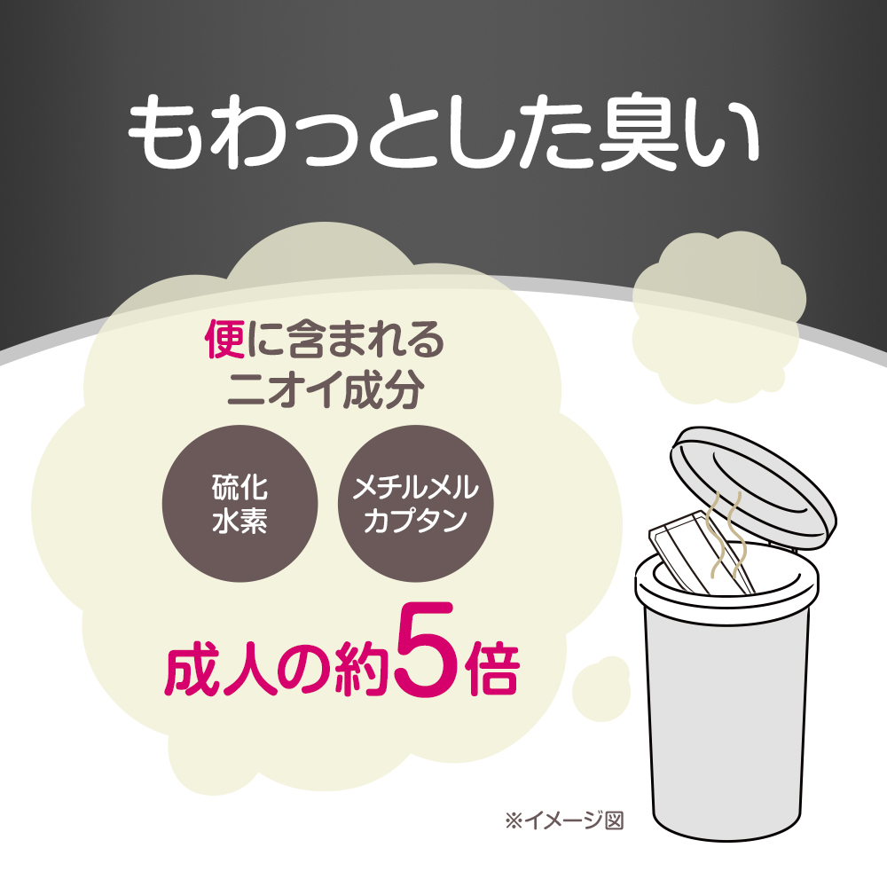 もわっとした臭い ※イメージ図 便に含まれる二オイ成分 硫化水素 メチルメルカプタン 成人の約5倍