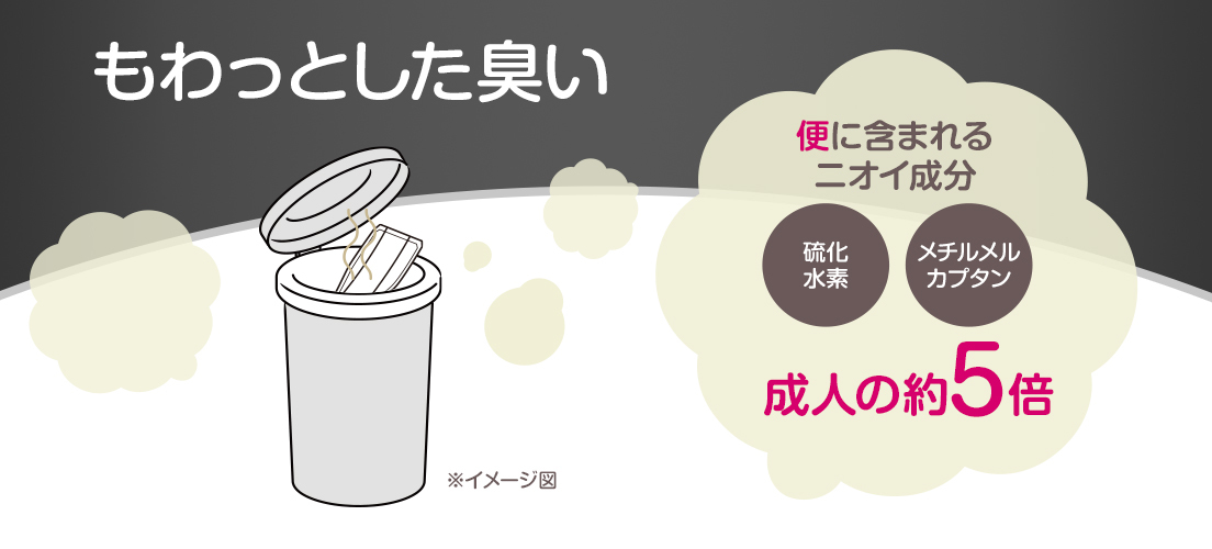 もわっとした臭い ※イメージ図 便に含まれる二オイ成分 硫化水素 メチルメルカプタン 成人の約5倍